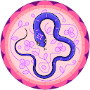 Enni Ryota profile picture